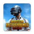 pubg手机版