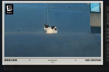 《绝区零》水管附近猫咪奶盖位置介绍5